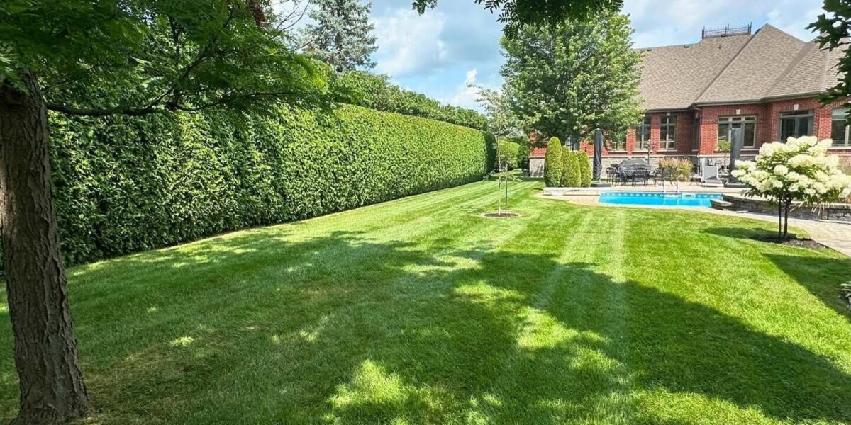 Engazonnement et structuration des espaces