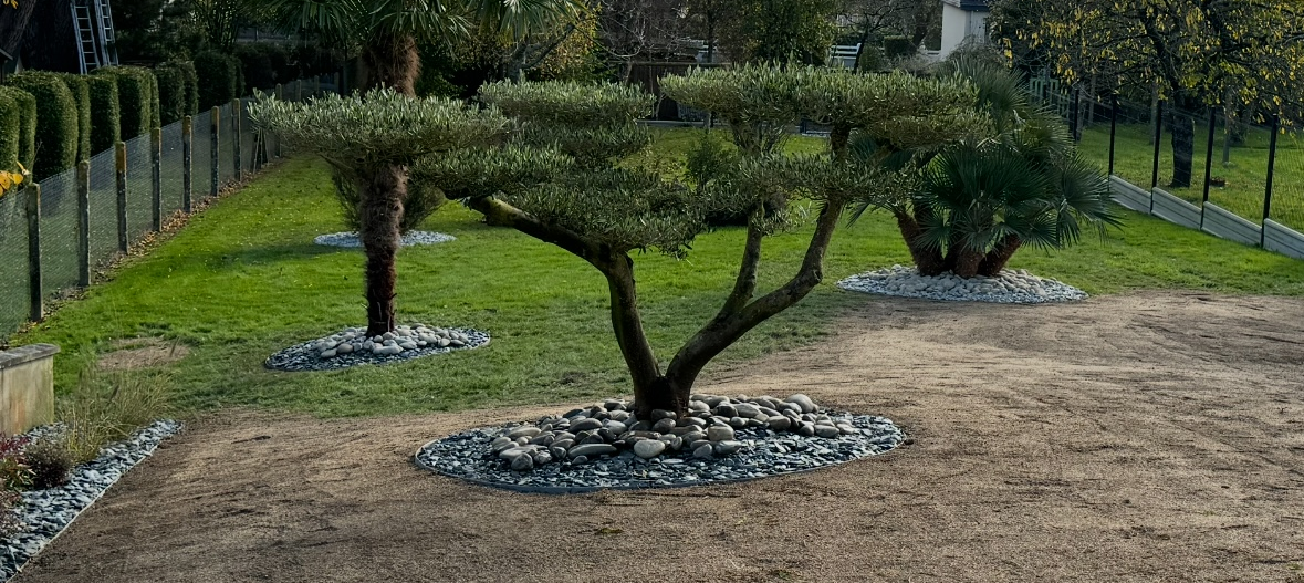 Taille de haies et arbustes