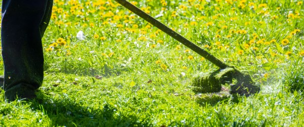 Débroussaillage et nettoyage extérieur